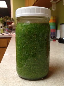 Green Smoothie, ready for the morning time