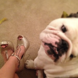 Happy New Year from Us to You. 