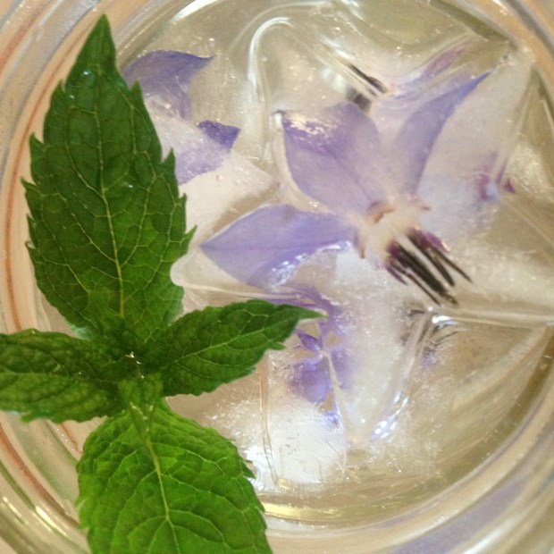 borage and mint water