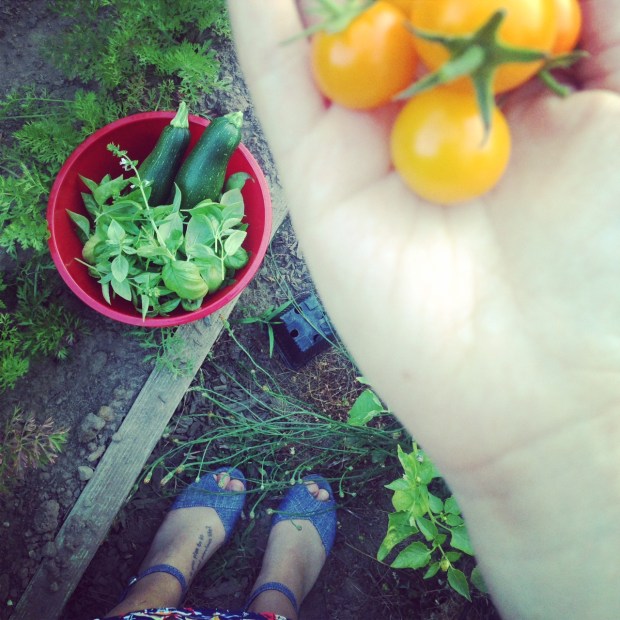 garden bounty
