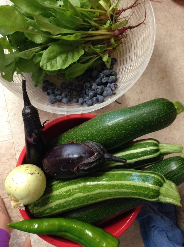 all in a days harvest