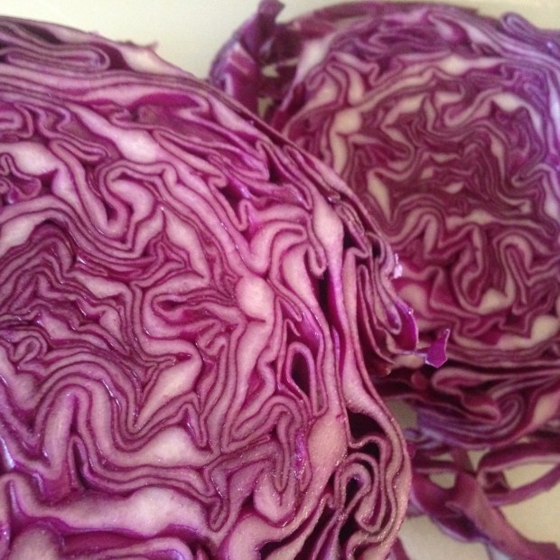 Purple Cabbage