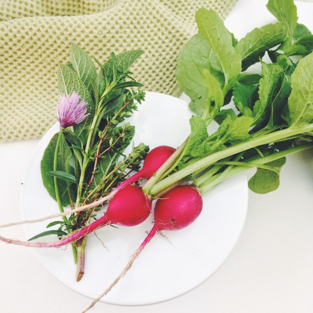 Processed with VSCOcam with f2 preset