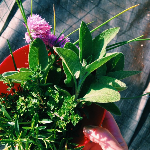 Processed with VSCOcam with c1 preset